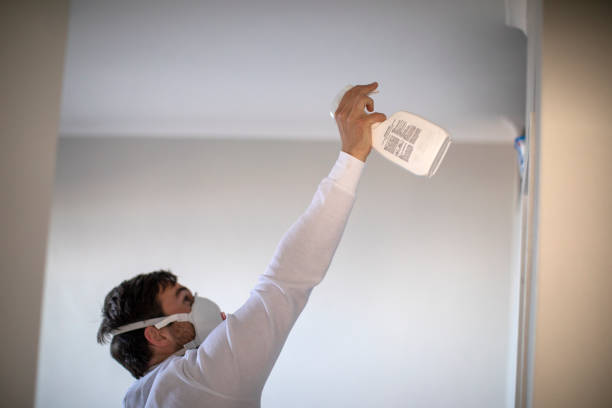 Best Professional Mold Removal  in Willards, MD